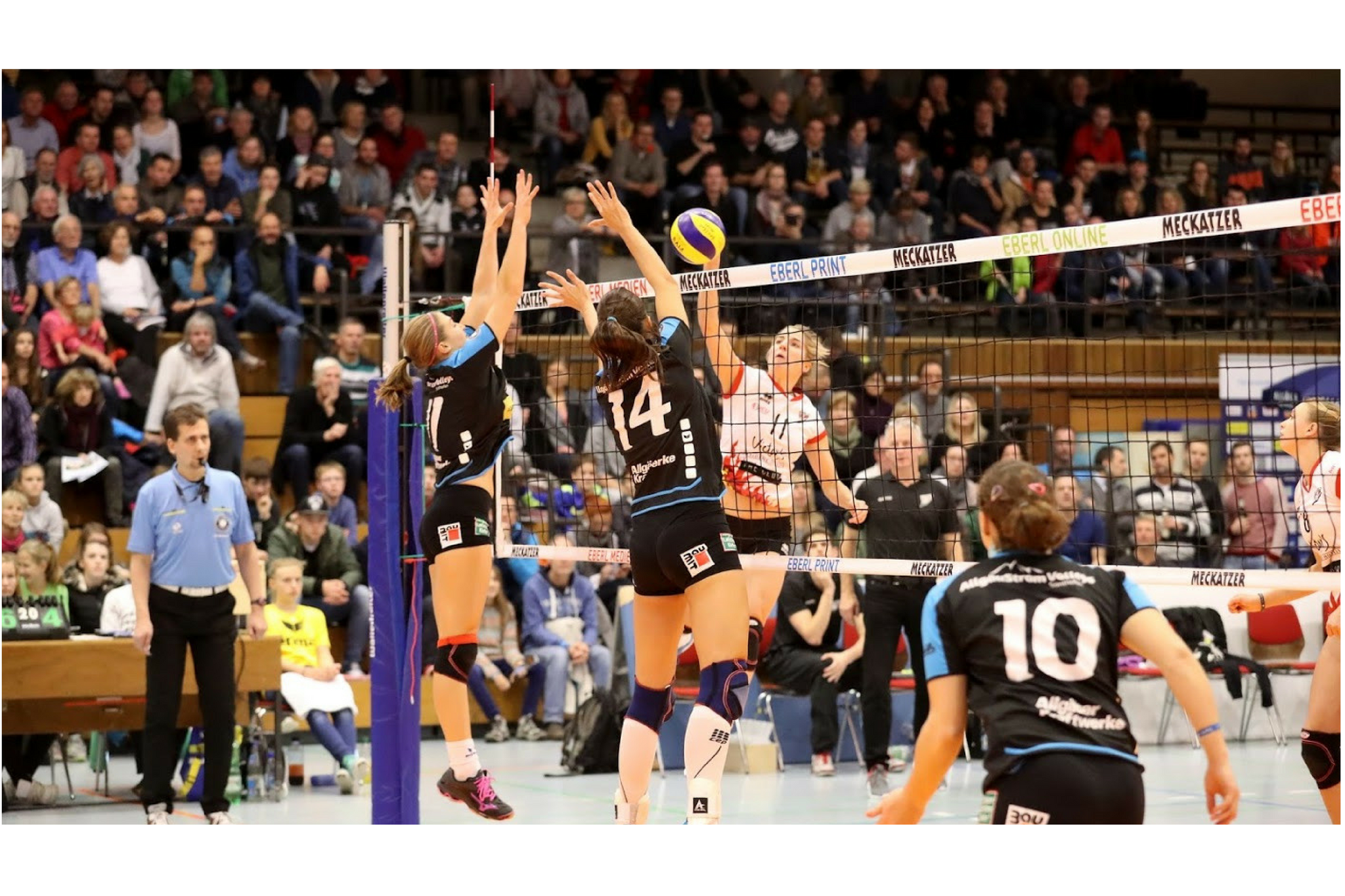 Wir sind neuer Partner des BVV