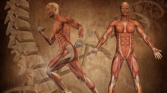 Körperachsentraining &#8211; Strategien gegen Gelenkschmerzen